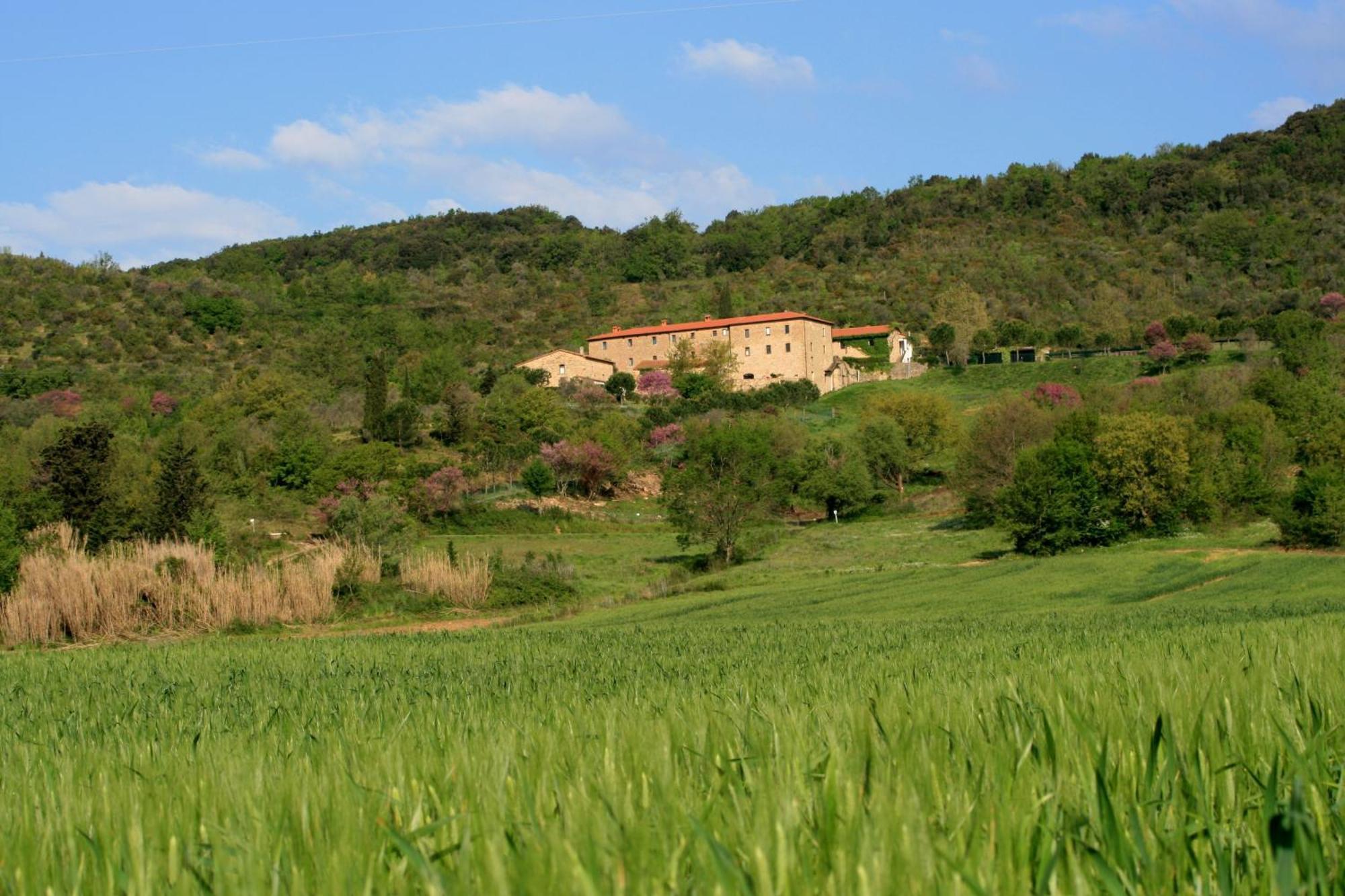 San Ottaviano Monterotondo (Tuscany)