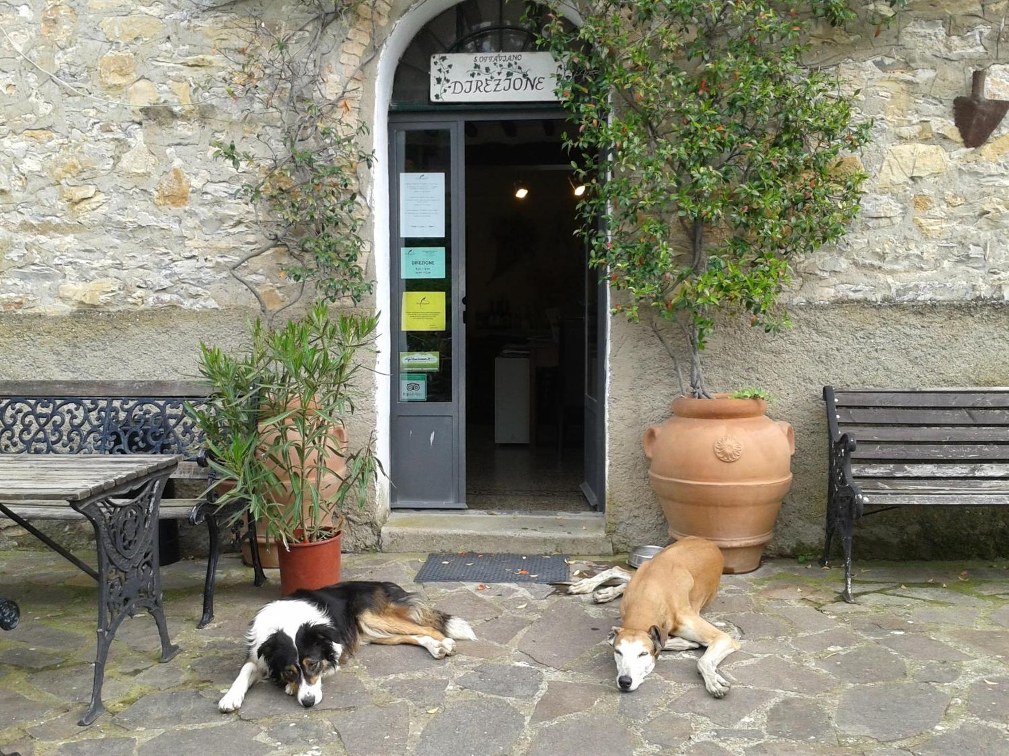 San Ottaviano Monterotondo (Tuscany)